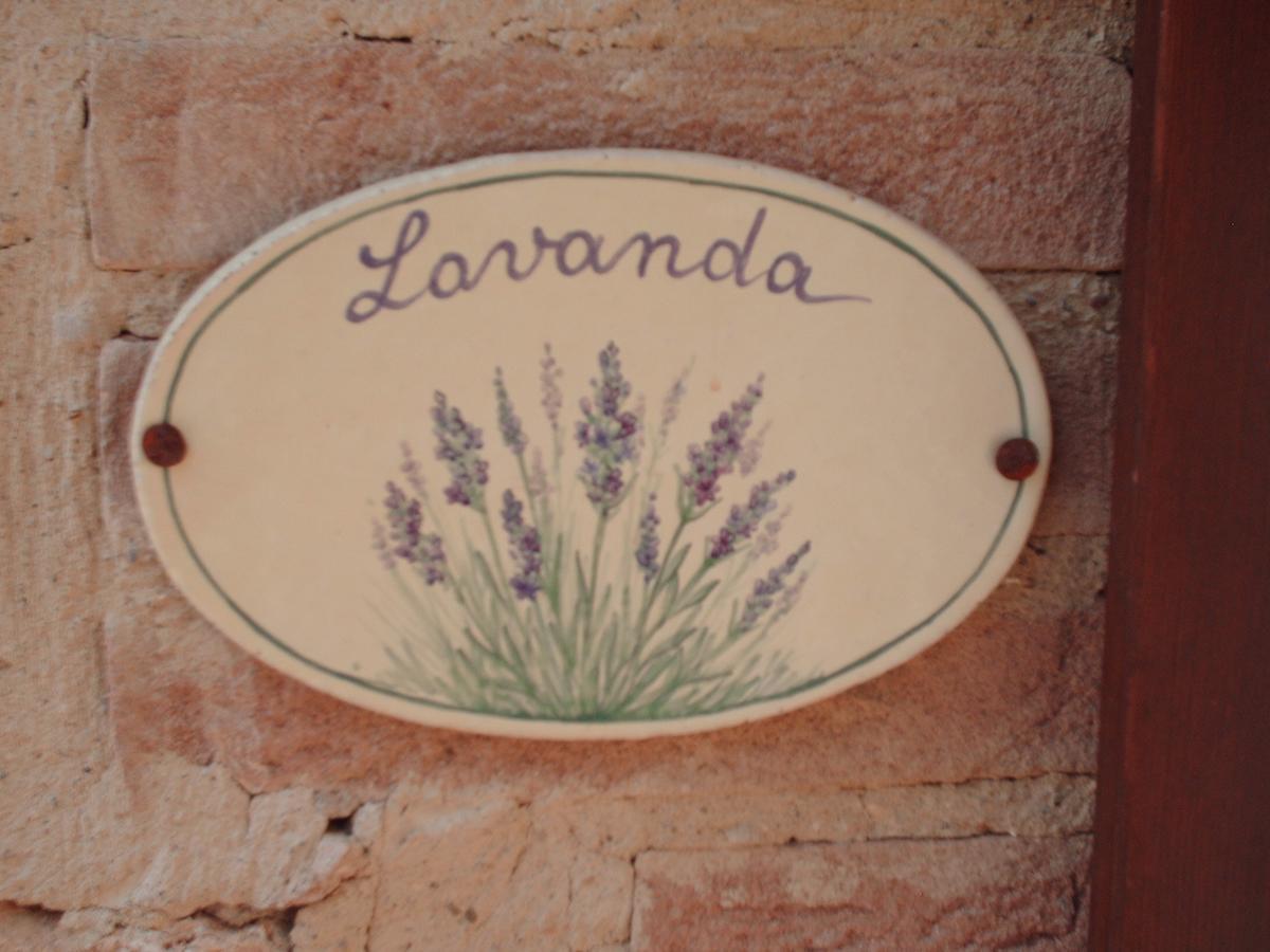 Agriturismo Bio Tra Cielo E Terra Apartamento Grutti Exterior foto